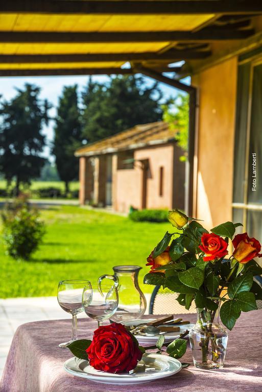 Podere Del Gesso Tarquinia Exteriér fotografie